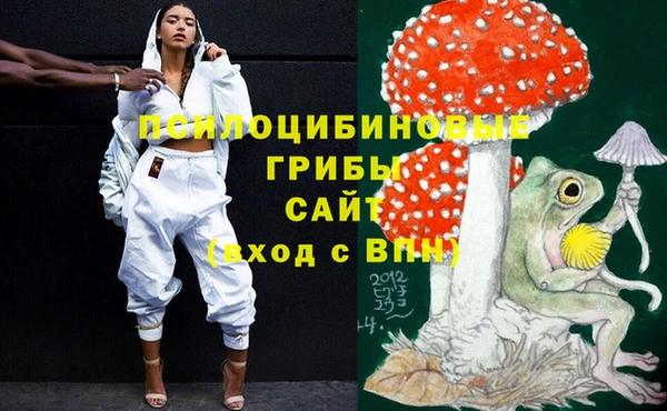 герыч Дмитров