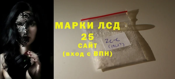 шишки Покачи