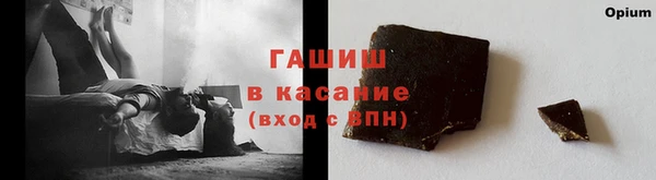 твердый Дмитровск