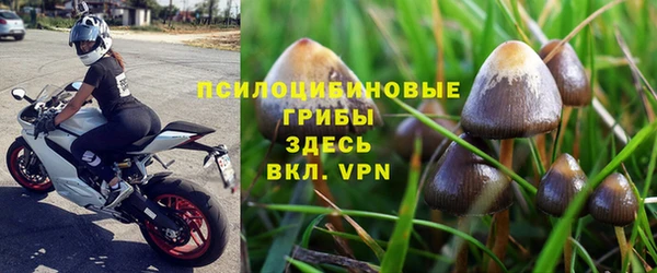 первитин Дмитриев