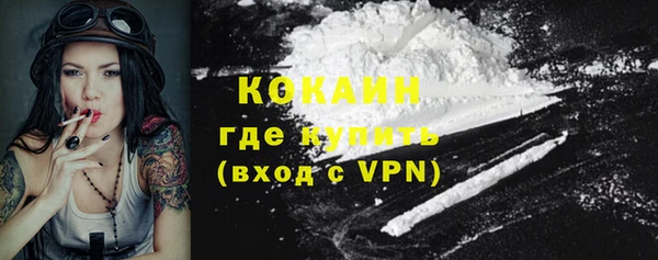 первитин Дмитриев