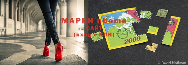 прущие грибы Покров