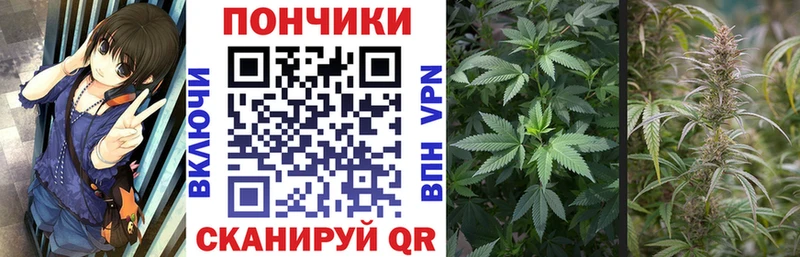Купить закладки  Клинцы  Конопля индика 